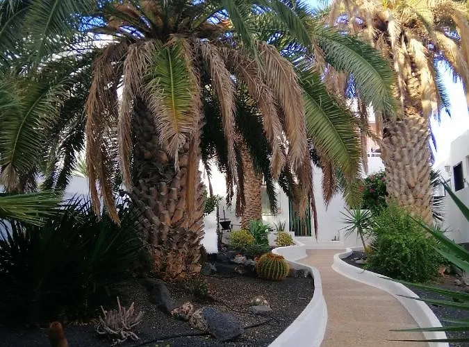 Te Miti بويرتو ذيل كارمين